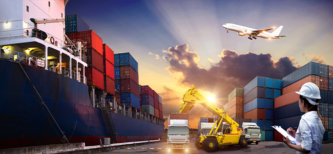 Female dock worker guiding a forklift, representing a Freight Forwarding Company in UAE